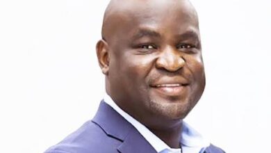 As Agbeyewa Farms Targets Bigger Share of $3.65bn Cassava Market – THISDAYLIVE