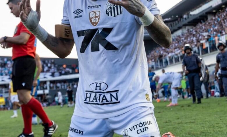 Injured Neymar leads Santos in emotional relegation escape