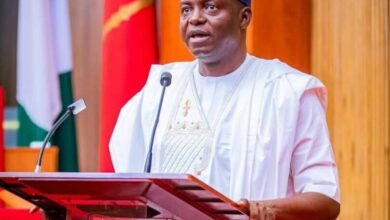 APC Chairman Says He's Learning Politics From President Tinu