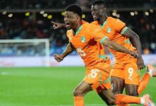 Indomitable Lions Roar Back to Hold Cup Holders Elephants – THISDAYLIVE