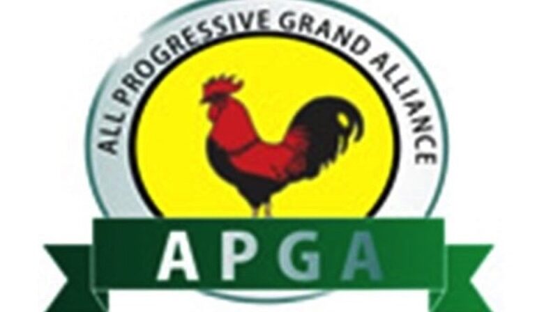 APGA Seeks Decentralised Police Structure to Tackle Insecurity – THISDAYLIVE