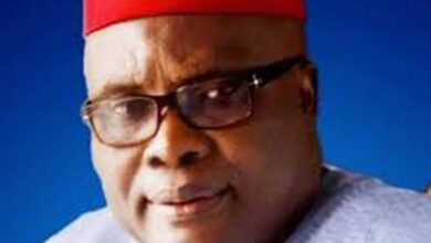 PDP Not Contemplating Any Caretaker Committee Arrangement – THISDAYLIVE