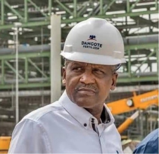 Era of Nationwide Fuel Queues Over, Assures Stable Fuel Supply at Yuletide – THISDAYLIVE