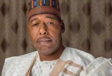 Tinubu Lauds Borno Gov for Outstanding People-Oriented Projects – THISDAYLIVE