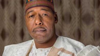 Tinubu Lauds Borno Gov for Outstanding People-Oriented Projects – THISDAYLIVE