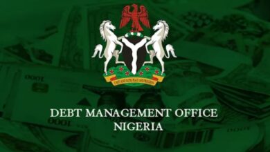 DMO Engages Northern States on Borrowing Processes, Debt Sustainability – THISDAYLIVE