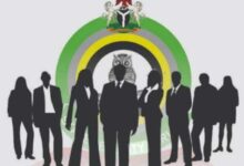 The DSS Story in 2025 Under DG Tosin Ajayi – THISDAYLIVE