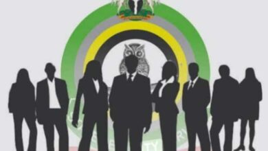 The DSS Story in 2025 Under DG Tosin Ajayi – THISDAYLIVE