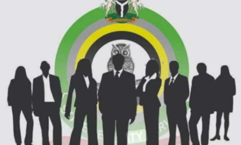 The DSS Story in 2025 Under DG Tosin Ajayi – THISDAYLIVE