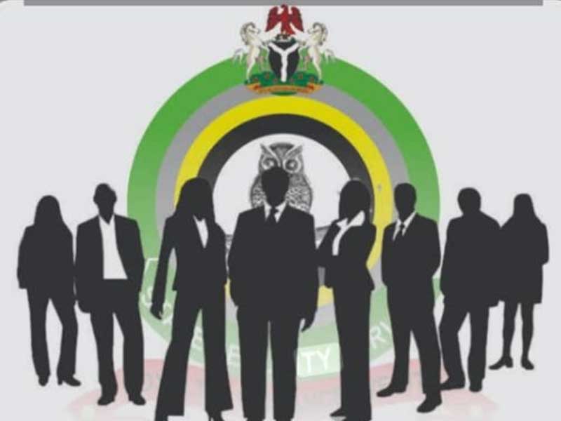 The DSS Story in 2025 Under DG Tosin Ajayi – THISDAYLIVE