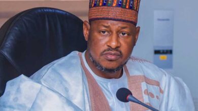 Katsina, World Bank Recover 30,000-hectare of Degraded Land – THISDAYLIVE