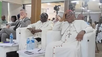 EU & Kukah Urge Dialogue to Curb Nigeria's Insecurity