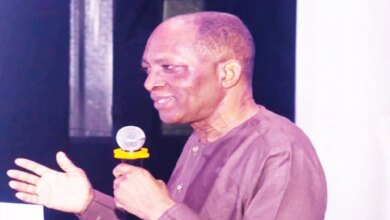 Experts Advocate for Health Interventions in Nigeria