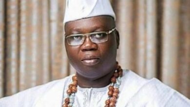 Gani Adams Decries Rising Insecurity, Calls for Devolution of Power – THISDAYLIVE