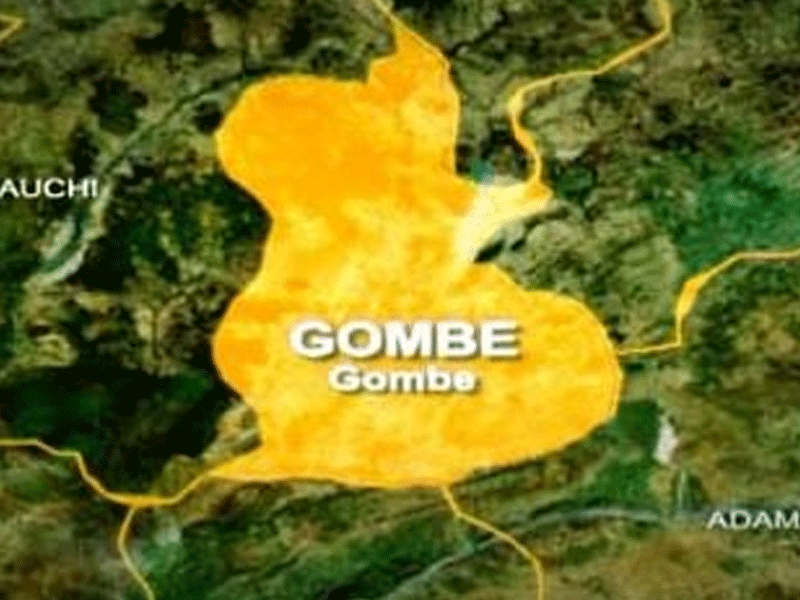 No Culture of Impunity in Gombe, Govt Responds to Amnesty’s Quick Mischaracterisation of Isolated Incident – THISDAYLIVE