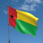 Eminent Africans Demand Release of Guinea-Bissau Election Results – THISDAYLIVE