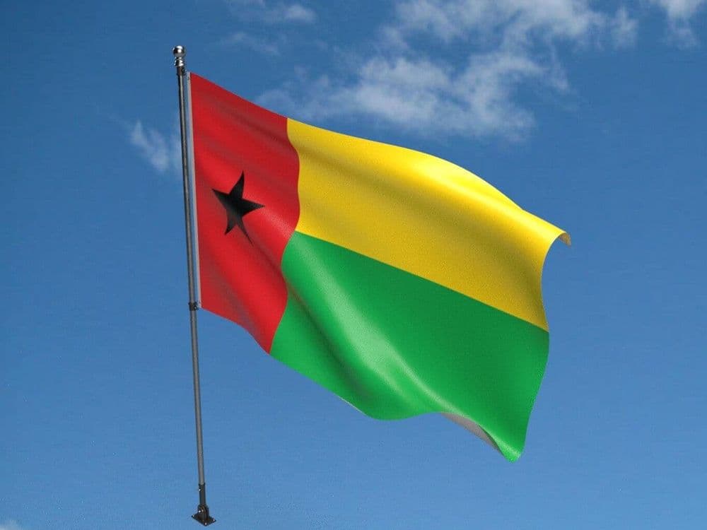 Eminent Africans Demand Release of Guinea-Bissau Election Results – THISDAYLIVE