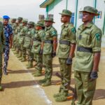 In Security Game Changer, Tinubu Launches Forest Guards, 7,000 Deployed – THISDAYLIVE