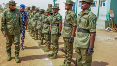 In Security Game Changer, Tinubu Launches Forest Guards, 7,000 Deployed – THISDAYLIVE