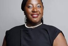 Investment in Renewable Energy Sector Hits $250M from $90M – THISDAYLIVE