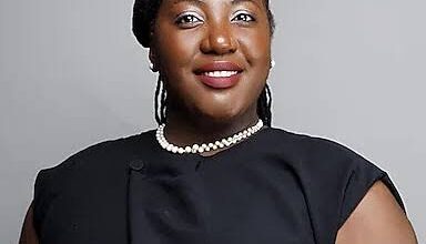 Investment in Renewable Energy Sector Hits $250M from $90M – THISDAYLIVE