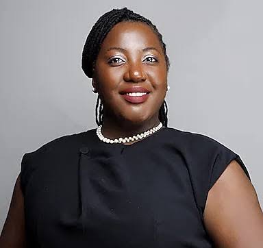 Investment in Renewable Energy Sector Hits $250M from $90M – THISDAYLIVE