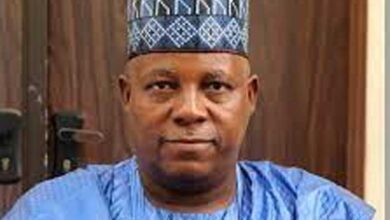 Shettima Declares Open 68th Ordinary Session Of ECOWAS Leaders in Abuja – THISDAYLIVE