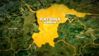 Katsina State map
