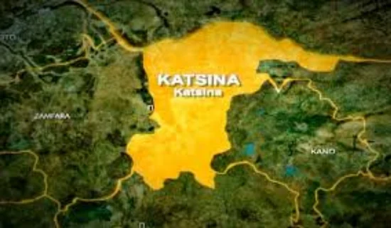 Katsina State map