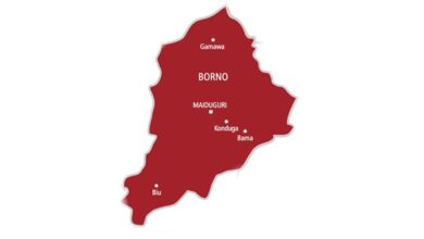 Map of Borno State