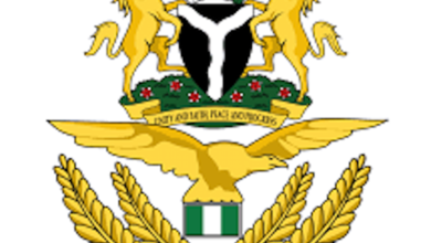 NAF Airstrikes Eliminate 2,351 Terrorists in 247 Air Interdiction Missions in 2025 – THISDAYLIVE