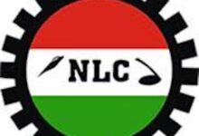 NLC Protests Rising Insecurity in Ekiti, Kano, Demands Urgent Action – THISDAYLIVE
