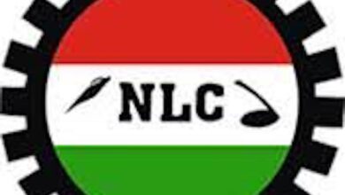 NLC Protests Rising Insecurity in Ekiti, Kano, Demands Urgent Action – THISDAYLIVE