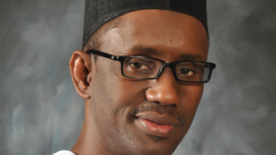 Security Expert Warns Against Calls to Remove Ribadu as NSA, Says Nigeria Needs Results, Not Obsolete Arguments – THISDAYLIVE