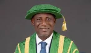 Nwachukwu Becomes AE-FUNAI’s New VC, Pledges Transformation – THISDAYLIVE