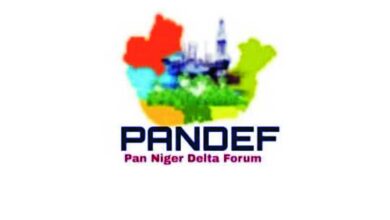 PANDEF Hails Tinubu’s Oil Reforms, Demands Greater Niger Delta Inclusion, Environmental Action – THISDAYLIVE