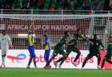 Nigeria Vs Tunisia Battle of Two Eagles – THISDAYLIVE