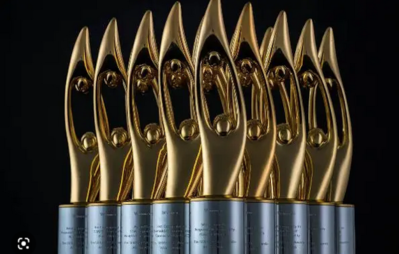 NNPC Foundation, Zenith Bank, Others Lead at 2025 SERAS Awards – THISDAYLIVE