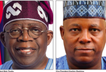 Twelve Gains, Twelve Gaps – THISDAYLIVE