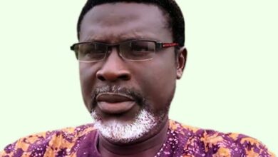 Wood’ll Not Be Available As Roofing Material in N’Delta in 10 Years , Onuesoke Warns  – THISDAYLIVE