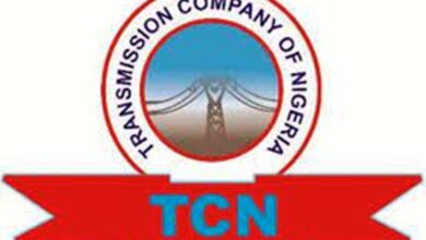 TCN Lists Achievements, 131 Vandalism Cases Hobbles Performance – THISDAYLIVE