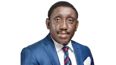 Nigeria’s MSME Economy at Risk Unless Lenders Become Enablers – THISDAYLIVE