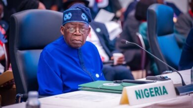Tinubu Vows to Strengthen Institutions & Safeguard Democracy