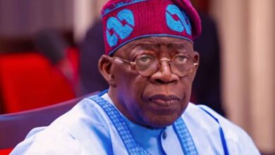 Ensure Safe Return of 115 Remaining Kidnapped Niger Catholic School Students – THISDAYLIVE