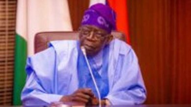 Be Ambassadors of Truth, Not Weapons of Misinformation – THISDAYLIVE