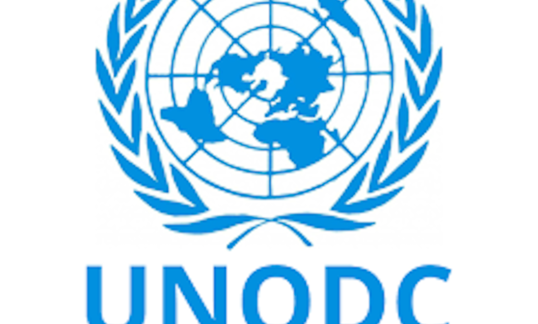 UNODC Advocates Inclusion of PwDs in Crime Prevention and Security Strategies – THISDAYLIVE