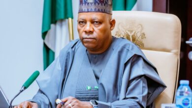 Govt Will Protect Press Freedom in Nigeria