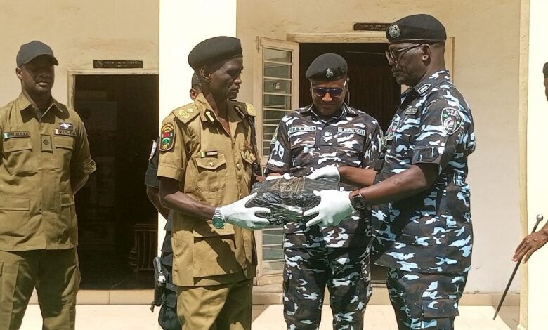 Bauchi police hand over 161kg of seized drugs to NDLEA