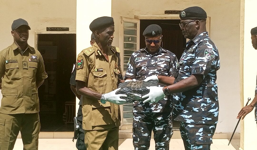 Bauchi police hand over 161kg of seized drugs to NDLEA