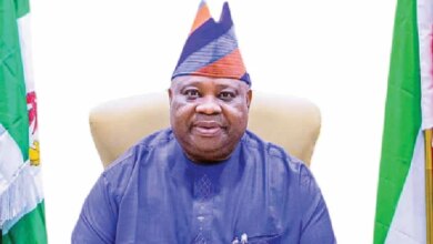 The Governor of Osun State, Ademola Adeleke. Photo: State House